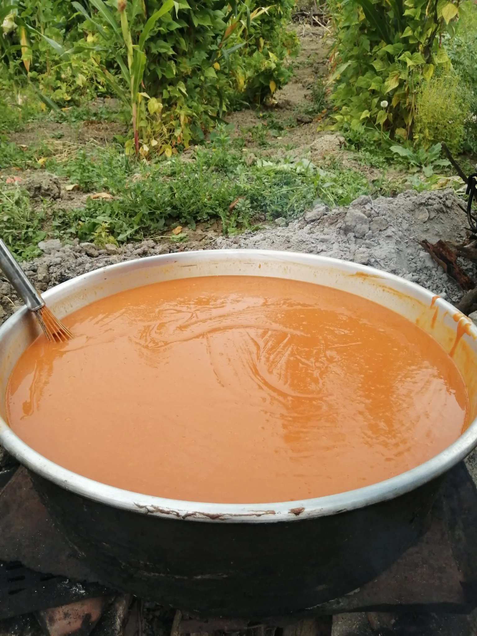 Kuşburnu Marmelatı